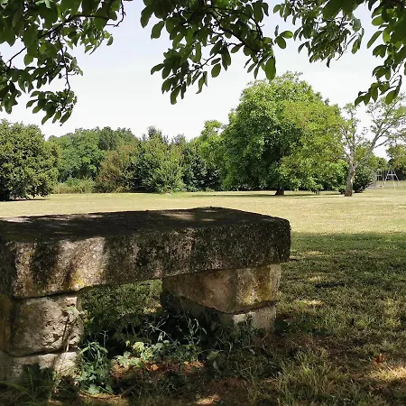 老酒厂度假屋 * Segonzac (Charente)
