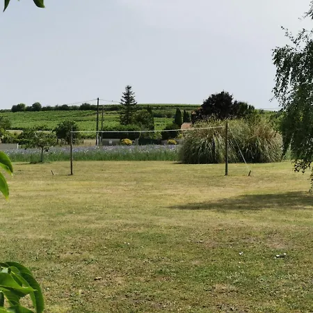 L'ancienne Distillerie * Segonzac (Charente)