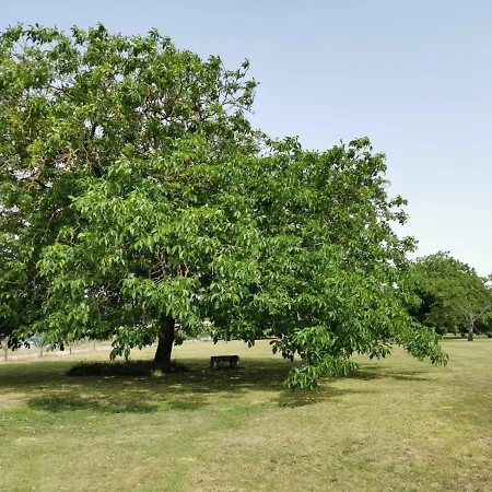 Casa vacanze L'ancienne Distillerie Segonzac (Charente)