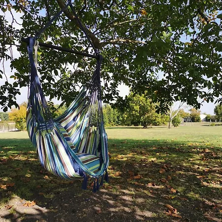 L'ancienne Distillerie Segonzac (Charente)