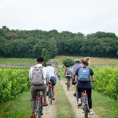老酒厂度假屋 度假居 Segonzac (Charente)