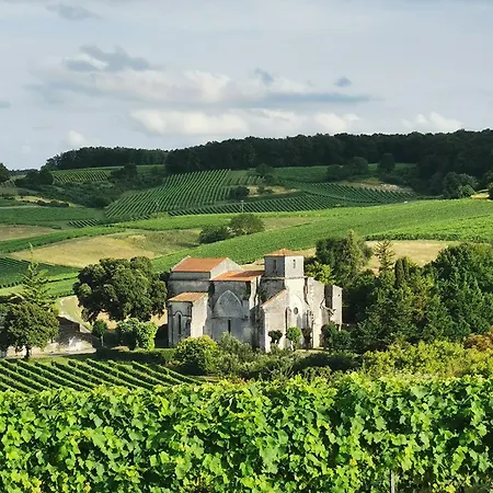 老酒厂度假屋 Segonzac (Charente)