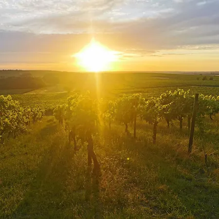 Holiday home L'ancienne Distillerie Segonzac (Charente)